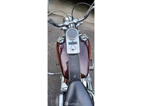Bild 3: Harley Davidson FXSTS Springer Softail