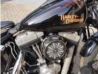 Fotografia 4: Harley-Davidson FLSTSB Cross Bones