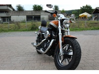 Fotografia 2: Harley-Davidson XL 1200 CA Sportster Custom ABS