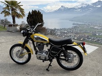 Fotografia 2: Ducati Scrambler 450 S