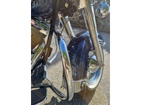 Bild 8: Harley-Davidson FLSTC Softail Classic