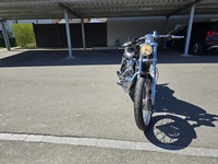 Bild 4: Harley-Davidson XL 1200 C