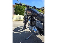 Bild 5: Harley-Davidson XL 1200 C
