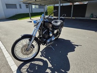 Bild 6: Harley-Davidson XL 1200 C