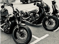 Bild 3: Indian Scout Bobber Twenty