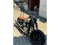 Bild 2: Harley-Davidson FLSS Softail Slim S110 ABS