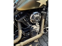 Bild 4: Harley-Davidson FLSS Softail Slim S110 ABS
