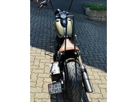 Bild 6: Harley-Davidson FLSS Softail Slim S110 ABS