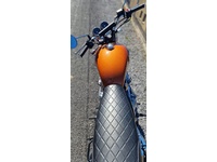 Bild 6: ROYAL ENFIELD Interceptor 650 Standard
