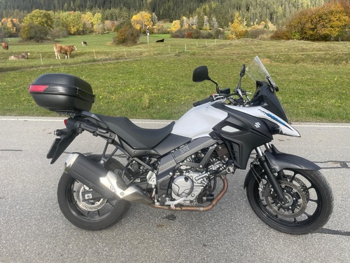 Suzuki DL 650A