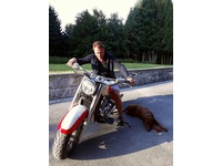 Bild 5: Yamaha XVZ 1300