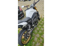Bild 2: Yamaha FZ8 N ABS