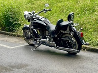 Bild 5: Harley-Davidson FLSTS Heritage Springer