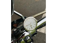 Bild 7: Harley-Davidson FLSTS Heritage Springer