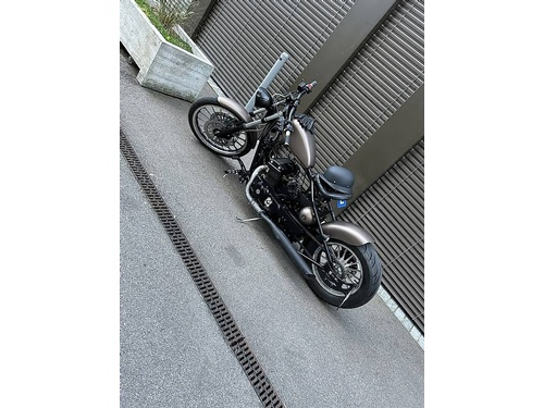 Regal Raptor Bobber 350