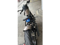 Bild 2: Regal Raptor Bobber 350