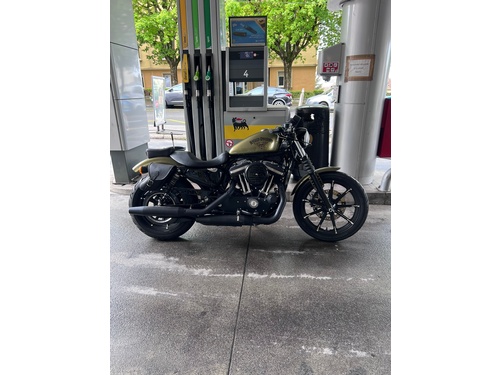 Harley-Davidson XL 883 N