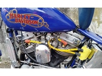 Fotografia 4: Harley-Davidson Panhead FL