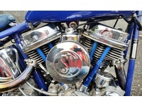 Fotografia 5: Harley-Davidson Panhead FL