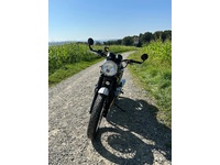 Bild 7: Triumph Thruxton 900