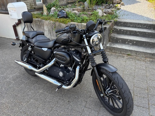 Harley-Davidson XL 883 N Sportster Iron