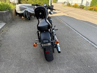 Bild 3: Harley-Davidson XL 883 N Sportster Iron