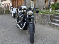 Bild 5: Harley-Davidson XL 883 N Sportster Iron