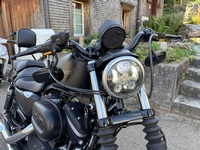 Bild 6: Harley-Davidson XL 883 N Sportster Iron