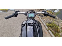 Bild 4: Harley-Davidson VRSCF V-ROD MUSCLE ABS