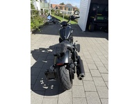 Bild 4: Indian Chief Dark Horse