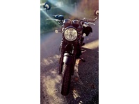 Bild 2: Triumph Bonneville T120 Black