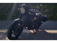Bild 9: Triumph Bonneville T120 Black