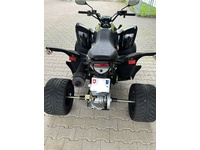 Bild 3: AEON Cobra 400 EFI