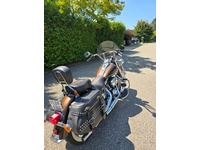 Bild 5: Harley-Davidson FLSTC Softail Heritage Classic ABS Anniversasry Bild 5: Harley-Davidson FLSTC Softail Heritage Classic ABS Anniversasry