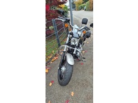 Bild 3: Harley-Davidson XL 1200 C Sportster Custom ABS Bild 3: Harley-Davidson XL 1200 C Sportster Custom ABS