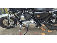 Bild 5: Harley-Davidson XL 1200 C Sportster Custom ABS Bild 5: Harley-Davidson XL 1200 C Sportster Custom ABS