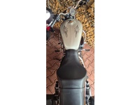 Bild 7: Harley-Davidson XL 1200 C Sportster Custom ABS Bild 7: Harley-Davidson XL 1200 C Sportster Custom ABS