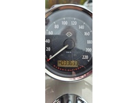 Bild 8: Harley-Davidson XL 1200 C Sportster Custom ABS Bild 8: Harley-Davidson XL 1200 C Sportster Custom ABS