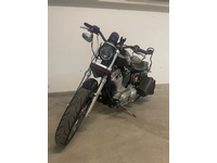 Bild 3: Harley-Davidson XLH 883 53C Sportster 100th Anniversary