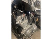 Bild 9: Harley-Davidson XLH 883 53C Sportster 100th Anniversary