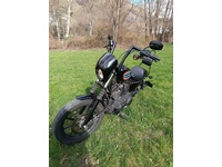 Bild 2: Harley-Davidson XL 1200 NS Iron ABS