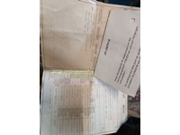 Bild 7: Harley-Davidson XL 1200 NS Iron ABS