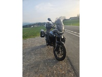 Bild 2: Triumph Tiger 900 GT PRO Bild 2: Triumph Tiger 900 GT PRO