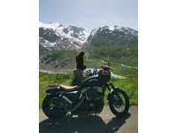 Bild 2: Harley-Davidson XL 1200 N Sportster Nightster Bild 2: Harley-Davidson XL 1200 N Sportster Nightster