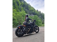 Bild 3: Harley-Davidson XL 1200 N Sportster Nightster Bild 3: Harley-Davidson XL 1200 N Sportster Nightster