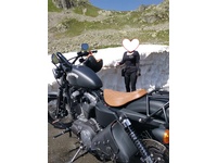 Bild 5: Harley-Davidson XL 1200 N Sportster Nightster Bild 5: Harley-Davidson XL 1200 N Sportster Nightster