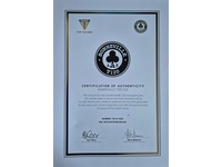 Bild 8: Triumph Bonneville T120 ABS ACE Version / Limited Edition