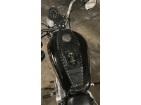 Bild 7: Harley-Davidson XL 883 L Sportster Super Low ABS