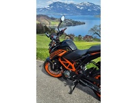 Bild 4: KTM 125 Duke Bild 4: KTM 125 Duke