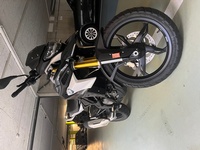 Bild 2: BMW G 310 GS